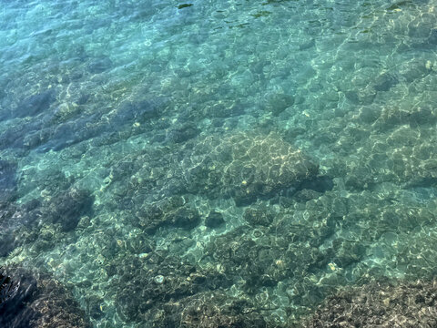 Mediterranean sea crystal clear water with algae at the bottom.