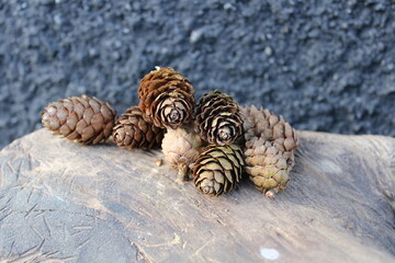 Collection of Pine Cones on a Rustic Wooden Surface