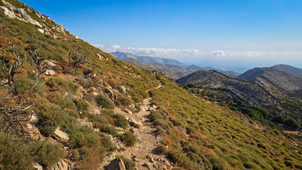 hiking trail in the mountains