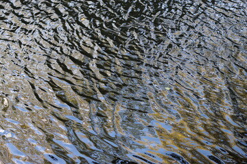 River water shining in sunlight