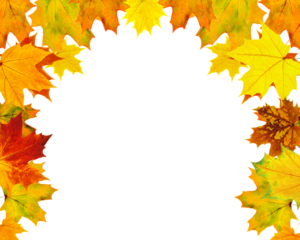 Autumn leaves frame a creating a vibrant fall season design element perfect for seasonal promotions and creative projects on transparent background