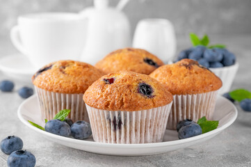 Delicious blueberry muffins on a white plate on a gray concrete background with cup of tea, fresh berries and mint leaves.