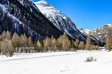 Bever, Val Bever, Winterwanderweg, Winterlandschaft, Wintersport, Holzbank, Oberengadin, Beverin, Fluss, Langlauf, Langlaufloipe, Alpen, Arvenwald, Winter, Graubünden, Schweiz © bill_17