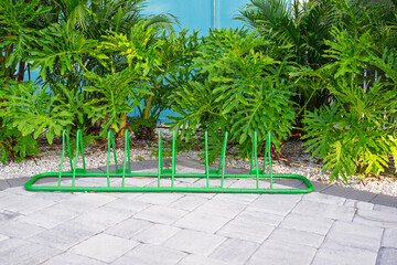 A green bike rack stands ready on smooth stone pavers, framed by a lush wall of vibrant green vegetation in the background.