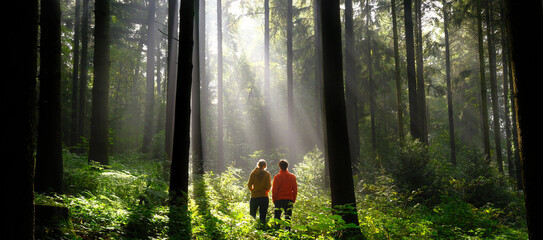 Two people standing in a green forest and watching the beautiful sunbeams in the mist