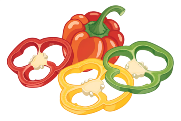 Set of bell pepper rings clipart, flat colors, bold outlines, clean vector look, transparent background.