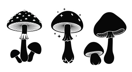 A monochrome illustration of three different mushroom varieties with whimsical details