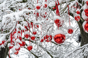 Red Christmas ball decoration hang from wintery snow-covered branches above at the  Christmas market. Constance, Baden W&uuml;rttemberg, Germany.