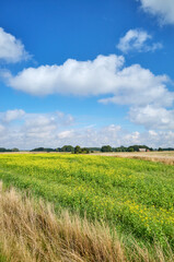 Rural landscape on a sunny day, Poland.