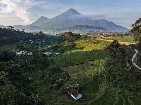 Aerial view of terraced rice paddies cascading down the verdant hillsides, with Mount Arjuna looming majestically in the distance, Batu, East Java, Indonesia.