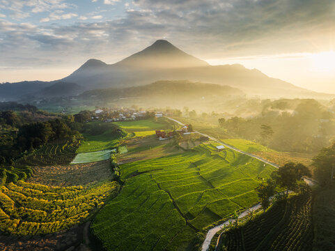 Aerial view of verdant rice terraces cascading down hillsides towards a distant majestic mountain peak bathed in golden light, East Java, Indonesia.