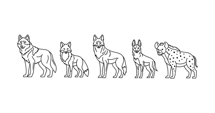 Outline illustration of wild canines: wolf, fox, coyote, jackal, hyena