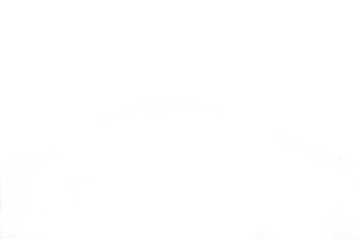 Blank white canvas, a pristine and empty space isolated on transparent background