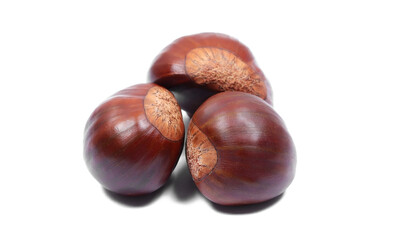 Obraz premium Fresh bunch of raw chestnuts isolated on white background, top view