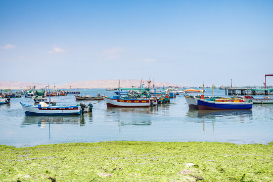 views of paracas national park in Peru