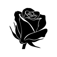 Black silhouette of a single blooming rose flower
