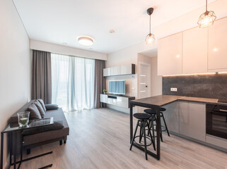 Modern Minimalist Home Living Room and Kitchen Area With Contemporary Interior Design