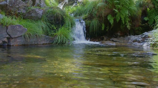Cascada peque&ntilde;a en un refugio natural