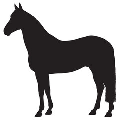Obraz premium Elegant horse silhouette standing in profile vector illustration isolated on white background