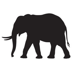 Fototapeta premium Elegant elephant silhouette vector illustration of a large mammal isolated on white background