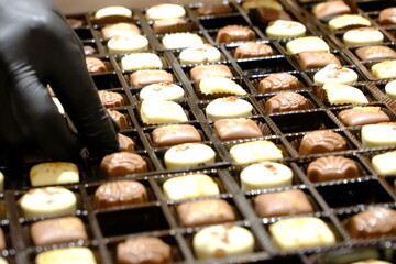 A close-up of a chocolate shop employee placing chocolates into packages with a black-gloved hand. Chocolate packaging. Chocolate factory. Mini brown and white chocolates. Hygienic packaging.
