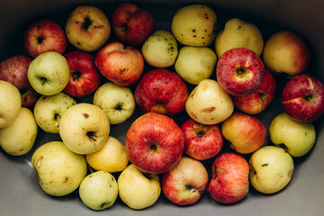 Top view of rustic organic apples in bowl, ugly fruit concept.