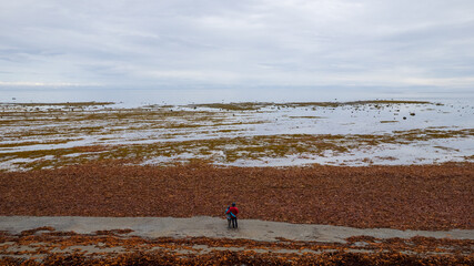 Aerial View of a Couple on the Shore of a Beach at Low Tide with Reddish and Yellow Seaweed, with...