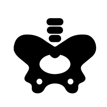 Beckenknochen