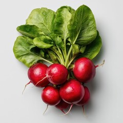 Fresh bunch of crisp red radishes with green leaves isolated on clean white background top view