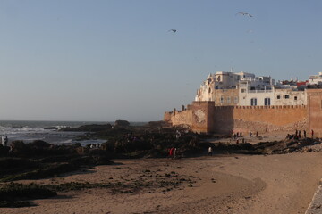 Blue Fishing Boats in Essaouira Harbor, Morocco