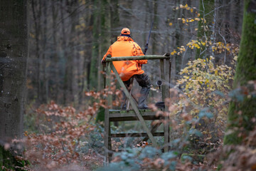 Obraz premium Hunter in high-visibility orange sitting on wooden hunting stand in autumn forest