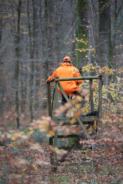 Hunter in high-visibility orange sitting on wooden hunting stand in autumn forest