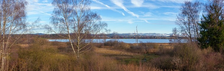Naturschutzgebiet Greifensee, Z&uuml;rich, Schweiz - November