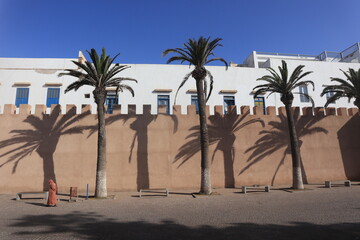 Palm Trees Casting Shadows on the Historic City Walls of Essaouira, Morocco