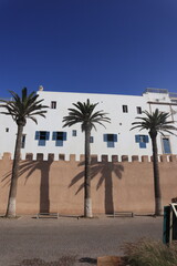 Palm Trees Casting Shadows on the Historic City Walls of Essaouira, Morocco