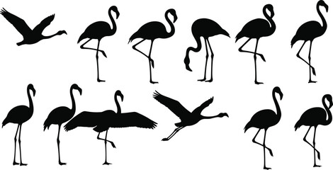 Flamingo silhouette icon set, black vector bird poses, standing walking flying postures, tropical wildlife illustration design
