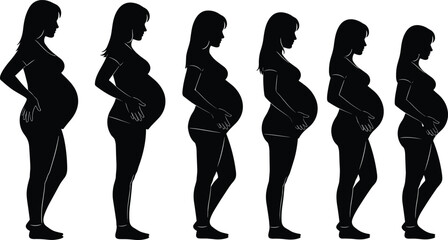 Pregnancy progression silhouette set, black vector icons, female body change, trimester stages, maternity anatomy illustration, medical design