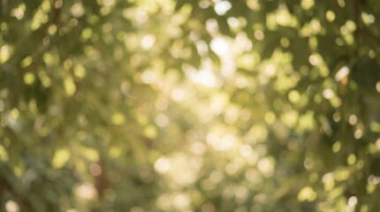 Blurred green foliage with bright sunlight spots creating soft bokeh. Natural abstract background scene suitable for summer, spring, or eco design concepts and wallpapers.