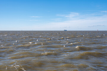 Seagulls fly over the water at the sea