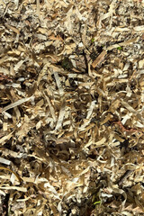 Shredded wood waste on the ground in a bright outdoor setting