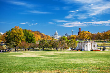 Fototapeta premium Park landscape with yellow trees and the majestic Capitol building on the horizon.
