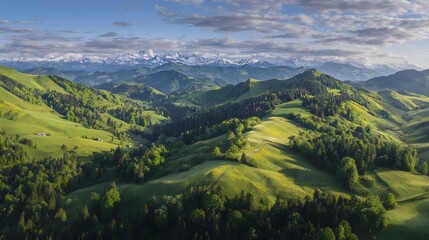 Obraz premium Alpine Summer Panorama Vibrant Wildflower Meadows Snow Peaks Serene Landscape Travel Stock Image