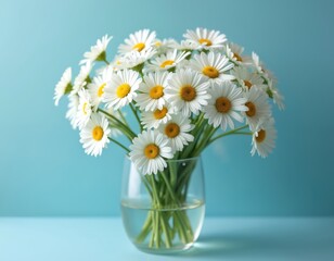 White daisy flowers in clear glass vase on blue background. Bouquet of wildflowers with yellow centers. Fresh bloom symbolizes spring and summer nature.