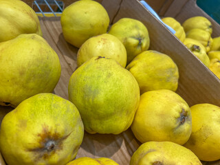 Fresh yellow quinces in cardboard box at market