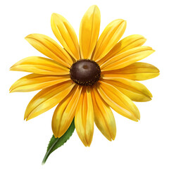 A single yellow rudbeckia hirta flower with a brown center and green stem on a black background on transparent background
