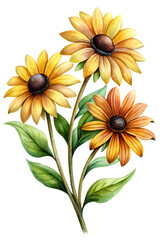 Naklejka premium A watercolor illustration of three sunflowers with green leaves on a black background art on transparent background