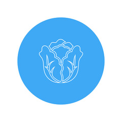 Lettuce Icon