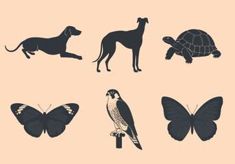 Fototapeta premium vector Collection of animal silhouettes including a dog greyhound turtle butterfly and falcon vector illustration isolated on beige background