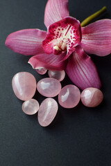 Natural rose quartz stones and a pink cymbidium orchid flower on a black background. Healing crystals. Vertical photo.