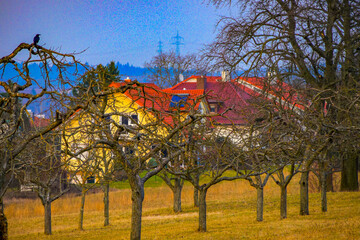 Fototapete bei efototapeten.de bestellen   